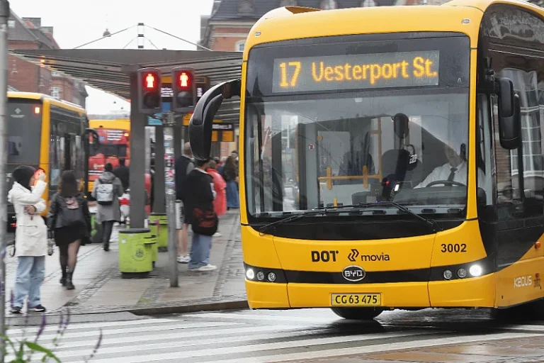 b_251211211